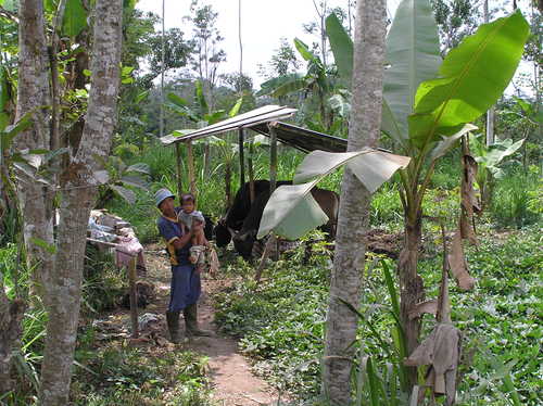 2005_indonesiatrip_287_2